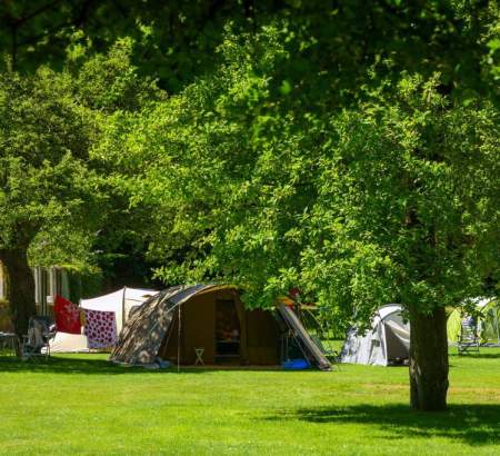 ᐃ CHATEAU DU GANDSPETTE **** : Campsite France Pas-de-Calais