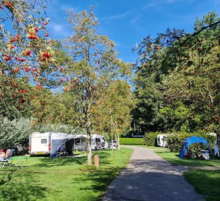 ᐃ CHATEAU DU GANDSPETTE **** : Campsite France Pas-de-Calais