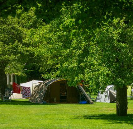 Les emplacements du camping dans le Pas-de-Calais